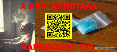 дживик Моздок