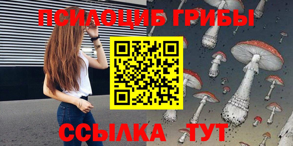 Псилоцибиновые грибы мицелий Северобайкальск
