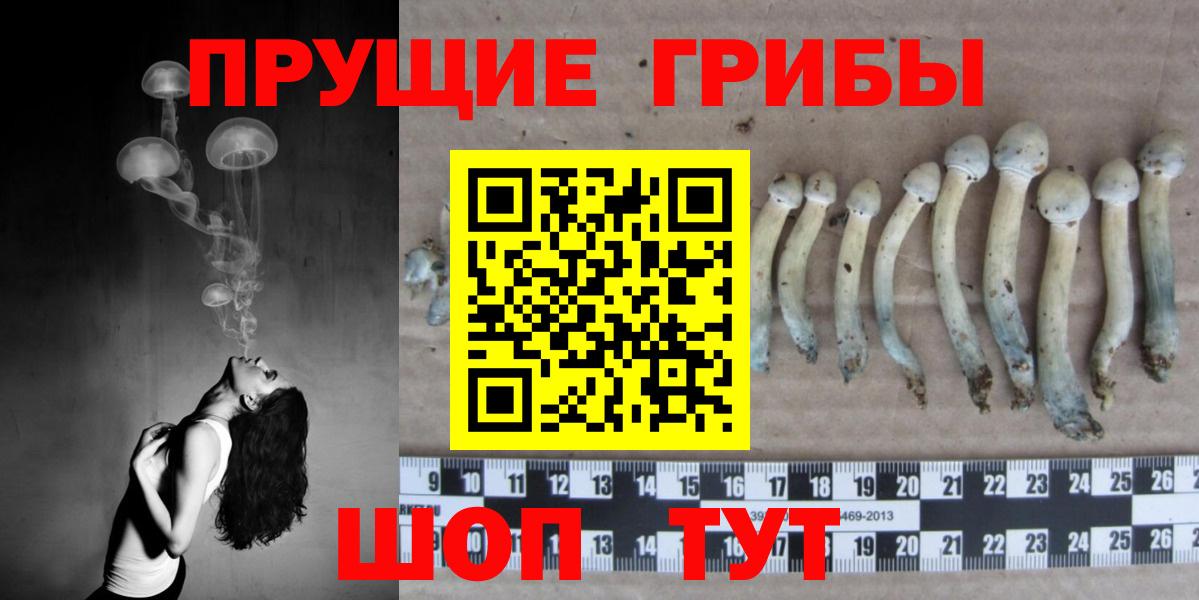 Псилоцибиновые грибы прущие грибы  Псилоцибиновые грибы прущие грибы  продажа наркотиков  Вход с VPN  Северобайкальск 